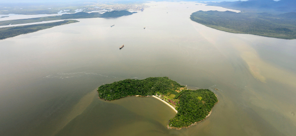 Ilha das Cobras: o que você não sabia sobre a ilha tomada por serpentes no  litoral brasileiro