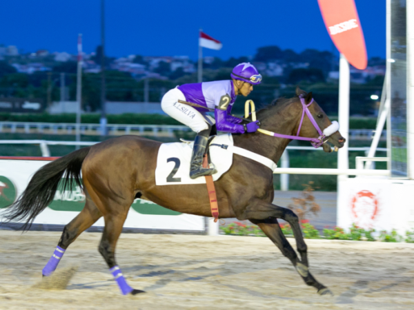 Jockey Clubs nos Estados Americanos: Uma Viagem Pelo Mundo das Corridas de  Cavalos 