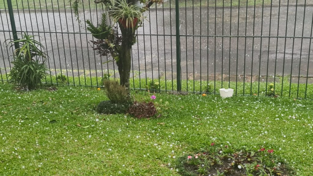 Prefeitura de Curitiba - É sério. Temos chuvisco leve agora, com  possibilidade de chuva, nublado, parcialmente nublado e neblina. Tudo  previsto para o dia de hoje.