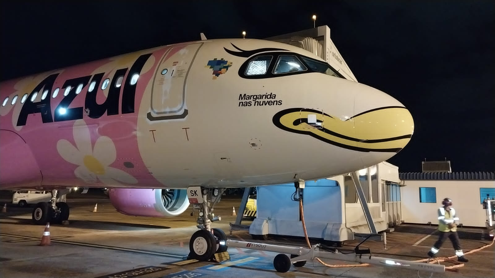 Primeiro dos quatro aviões da Azul com a pintura da Disney é