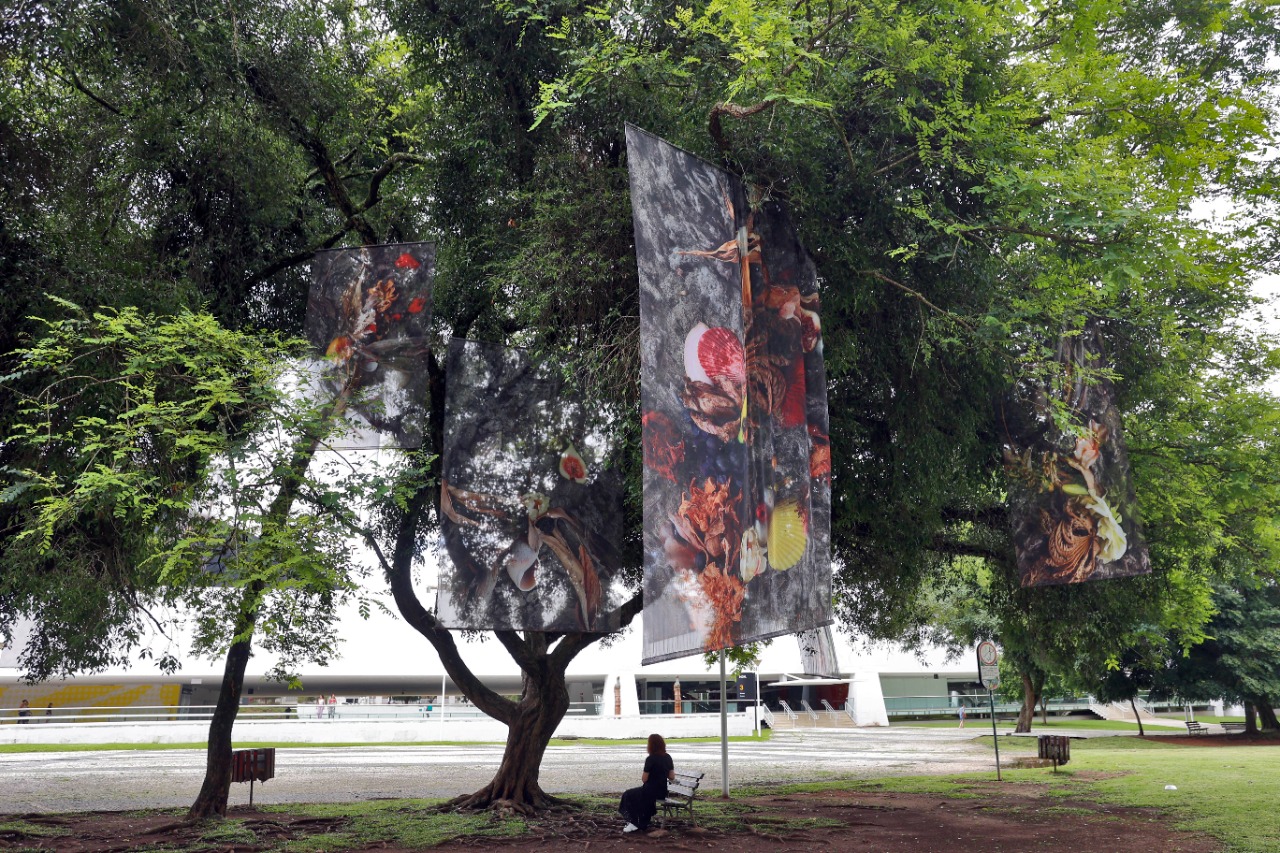 Museu Oscar Niemeyer leva arte para a área externa, num projeto inédito -  Bem Paraná