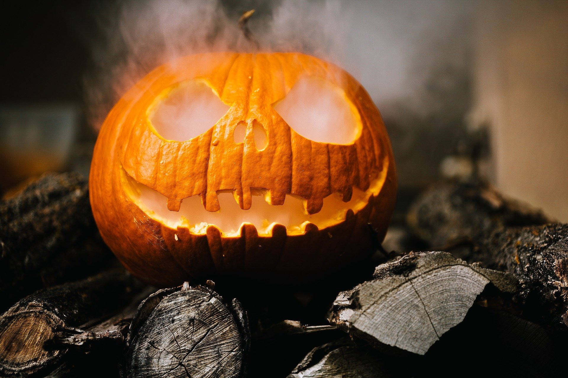 Créditos Pixabay – halloween-2905531_1920