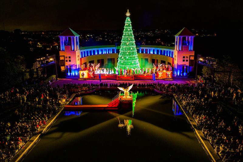 Floresta encantada de conto de fadas iluminada por grandes árvores