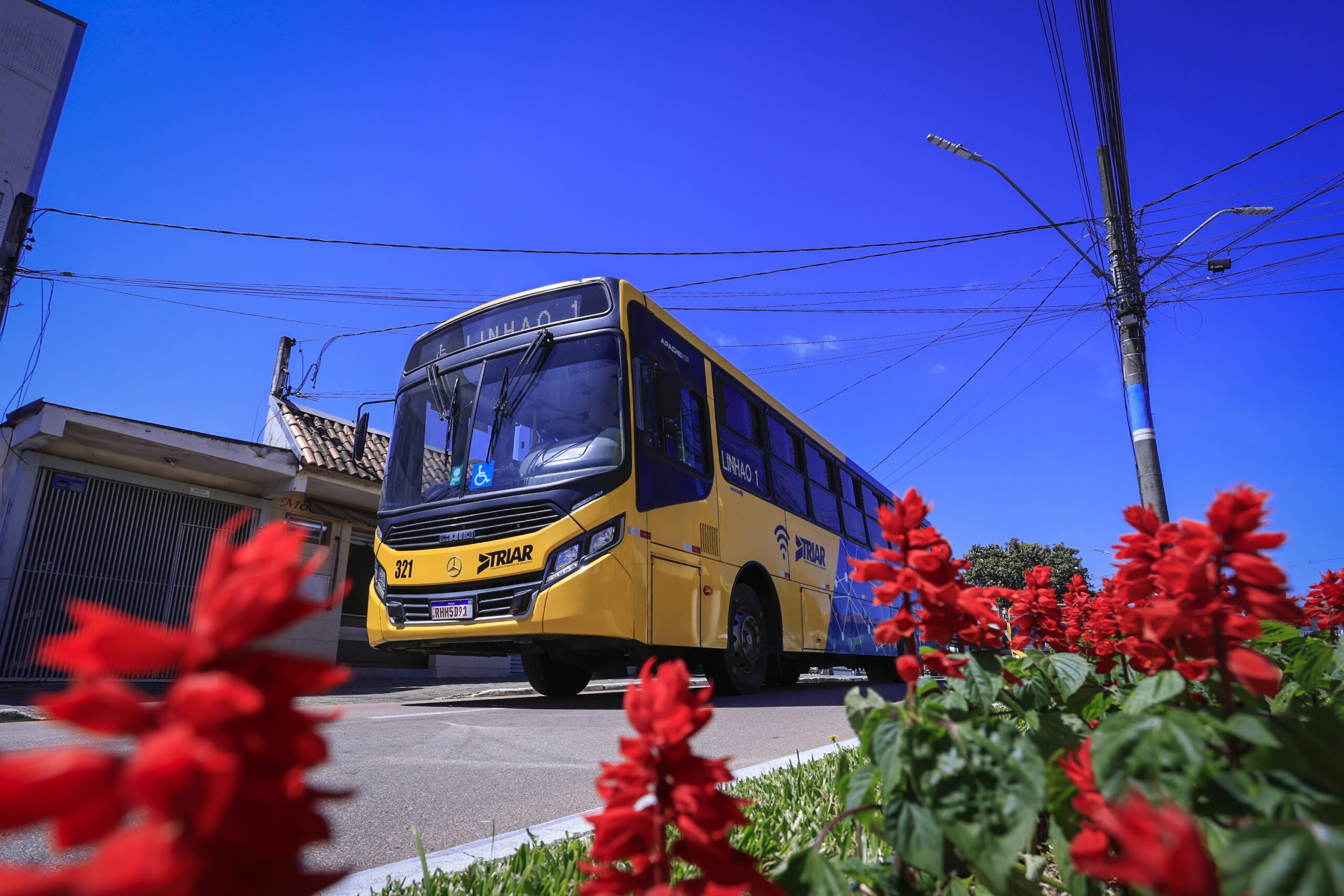 Cidade Da Grande Curitiba Baixa Preço Da Passagem De ônibus Para Apenas R 1 Bem Paraná 6246