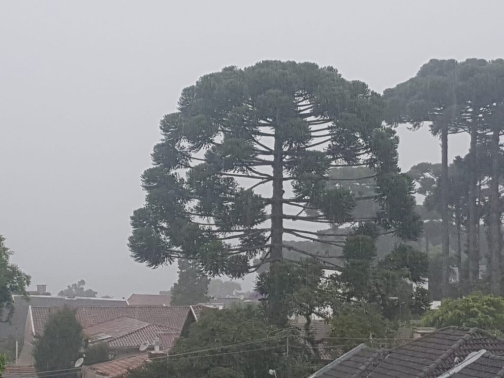 Chuva em Curitiba