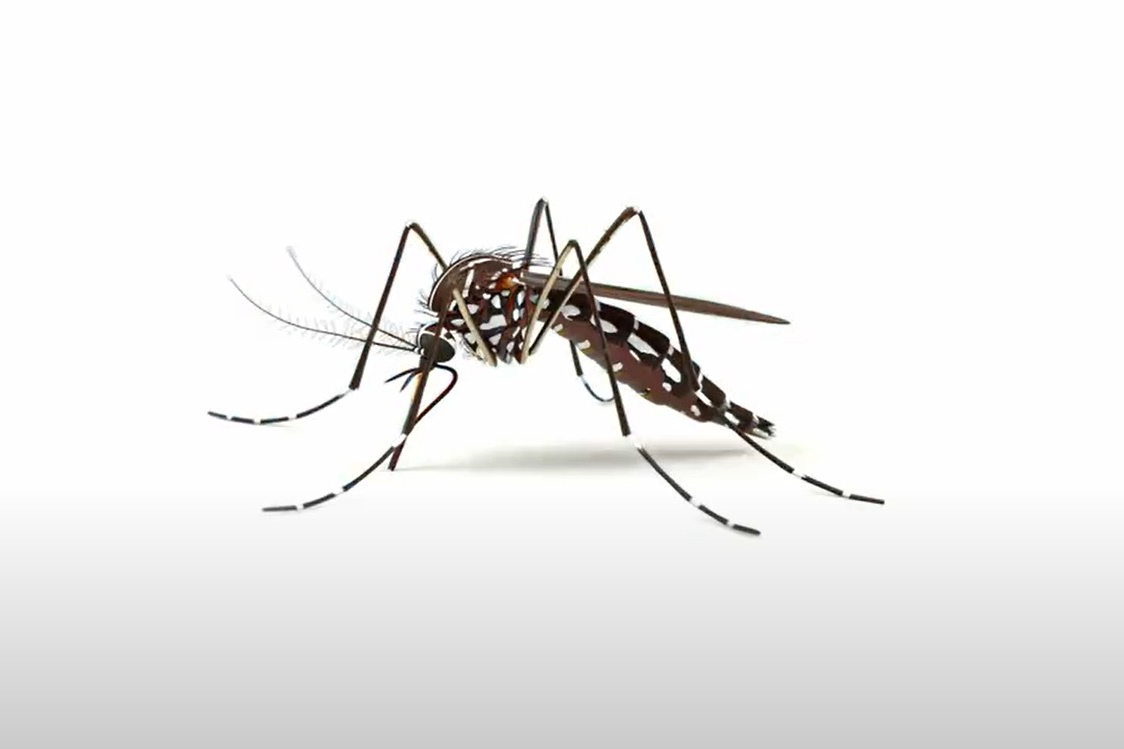 Dengue