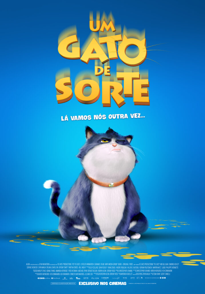 gato de sorte