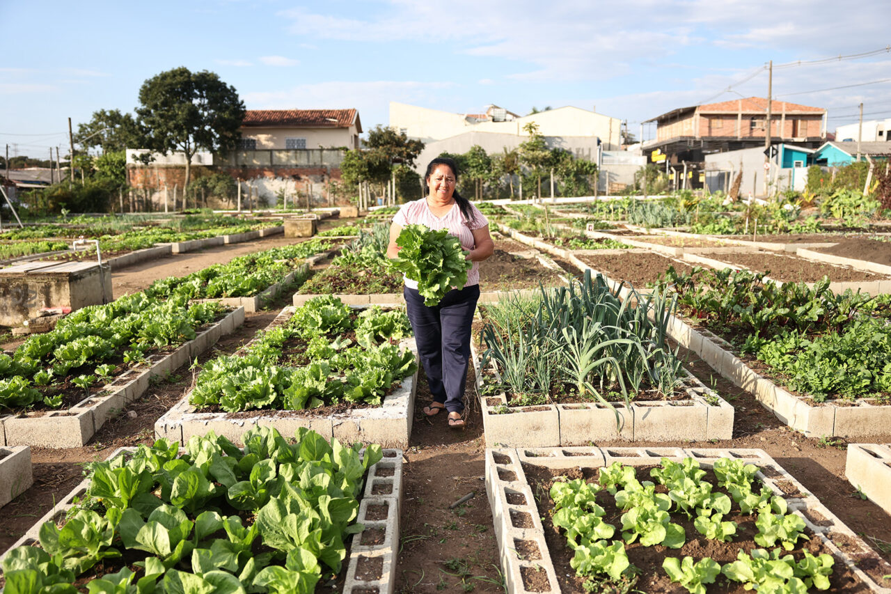 HORTA COMUNITARIA HORTA URBANA