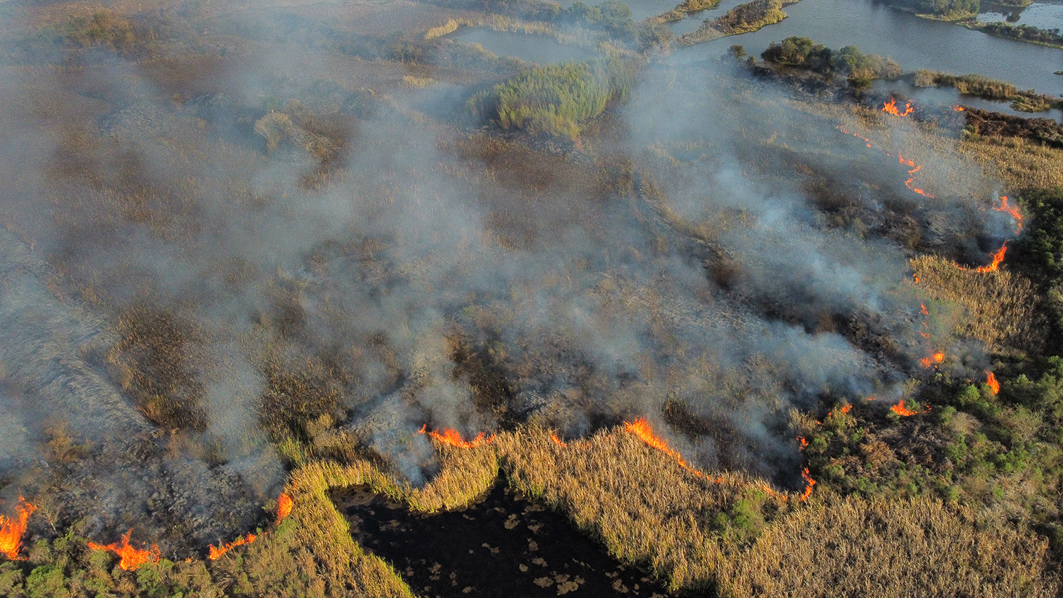 INCENDIO AMBIENTAL