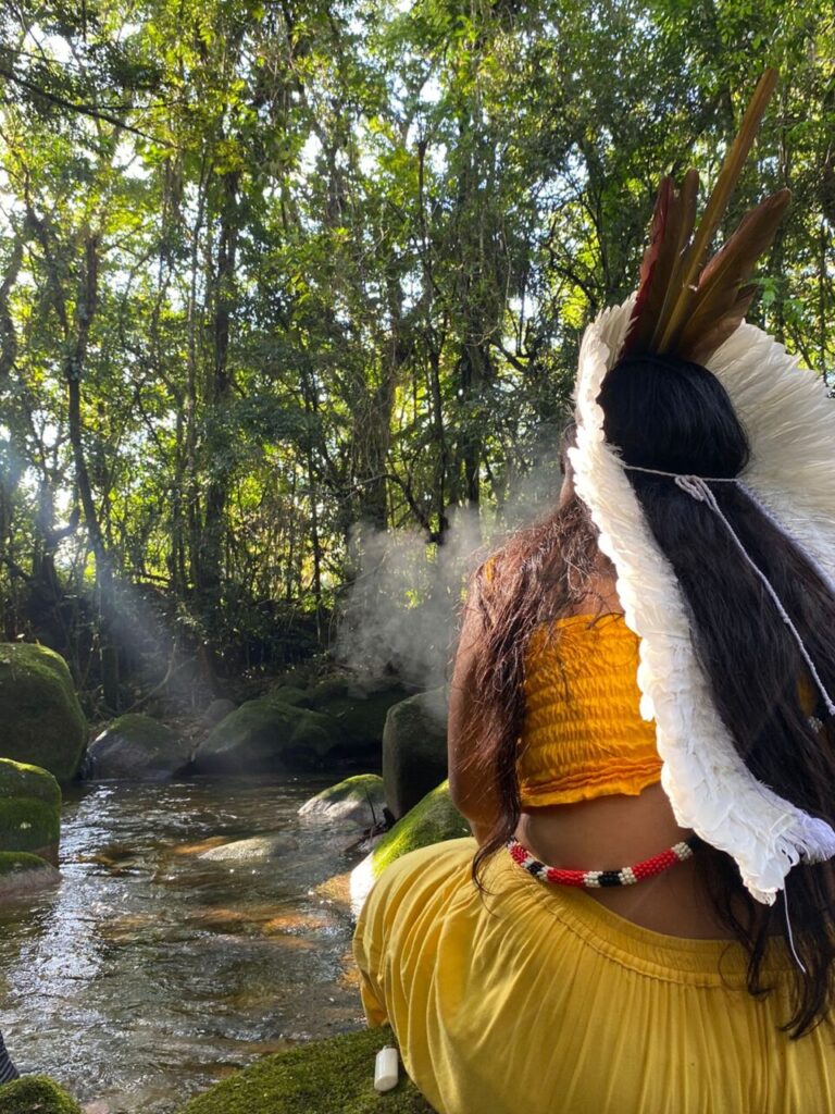 cultura indigena