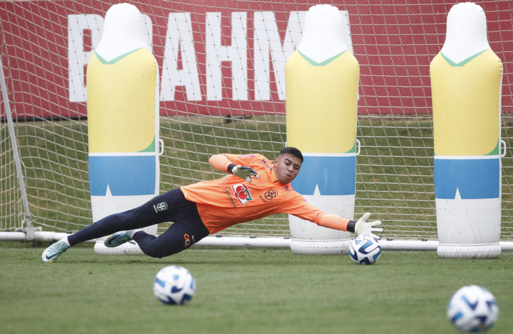 O goleiro Mycael pela seleção brasileira