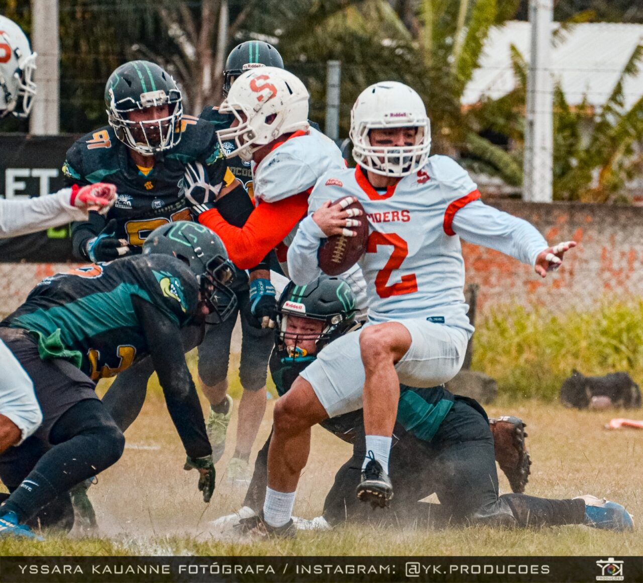 Coritiba Crocodiles vence o Brown Spiders