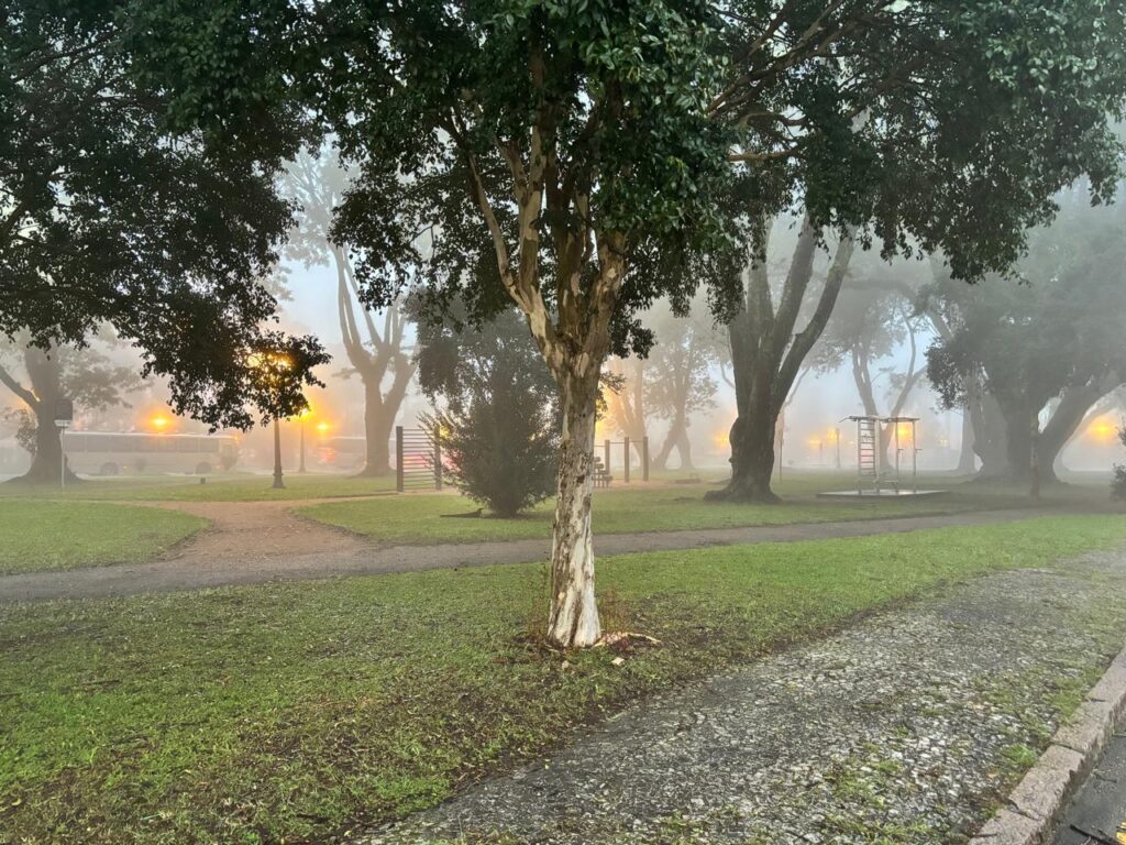 neblina curitiba5