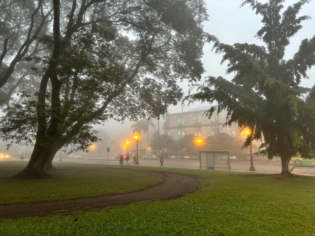 neblina curitiba7