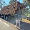 Caminhão é flagrado com carga de toras de madeiras soltas em estrada do Paraná. (PRF-PR)
