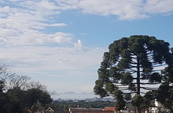 Tempo bom em Curitiba