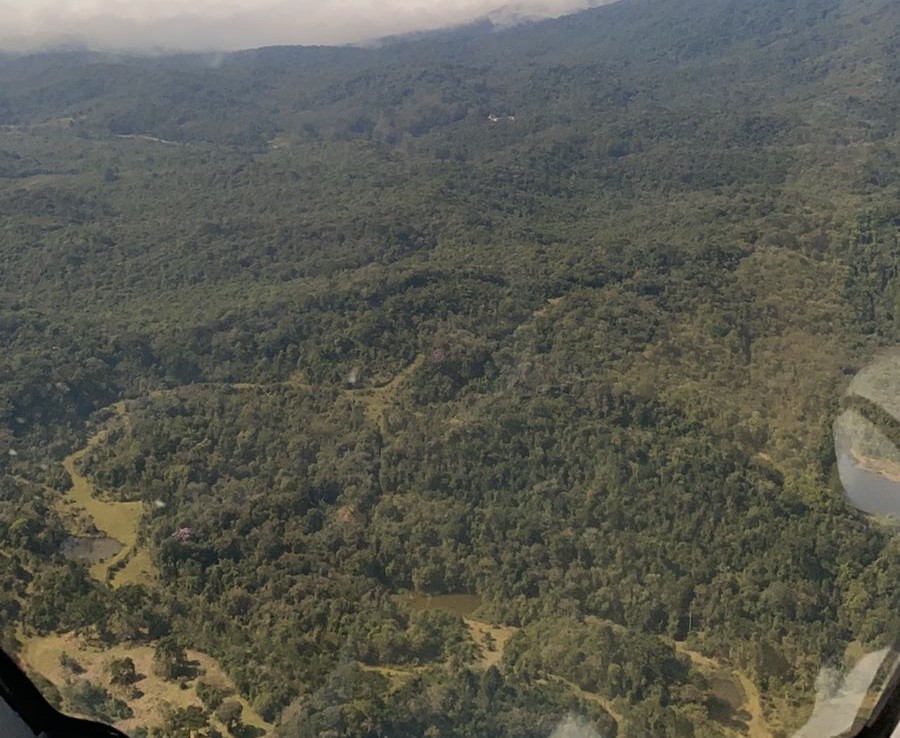 buscas serra do mar