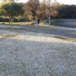 Jogo da seleção brasileira em Curitiba: venda de ingressos começa neste domingo: Clima Paraná