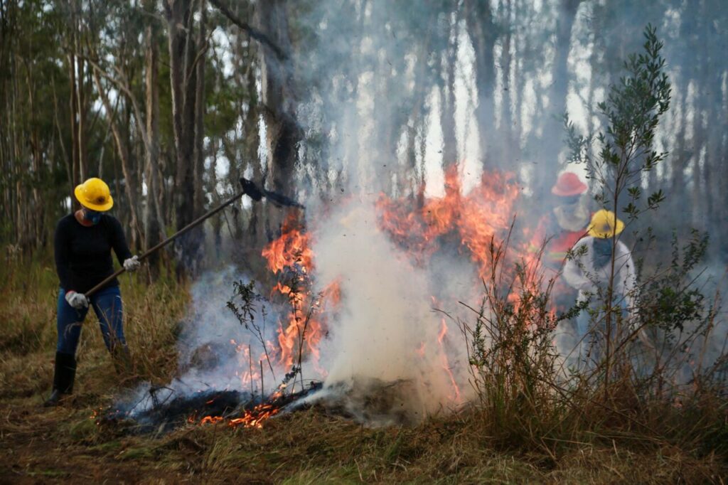 incendios_em_ucs_02_gabrielly_pontes_cge