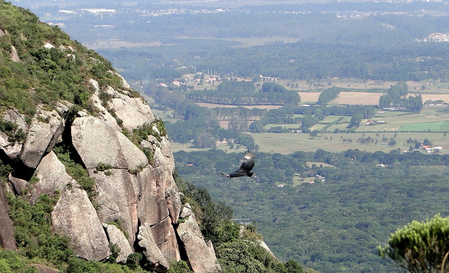 morro do anhangava