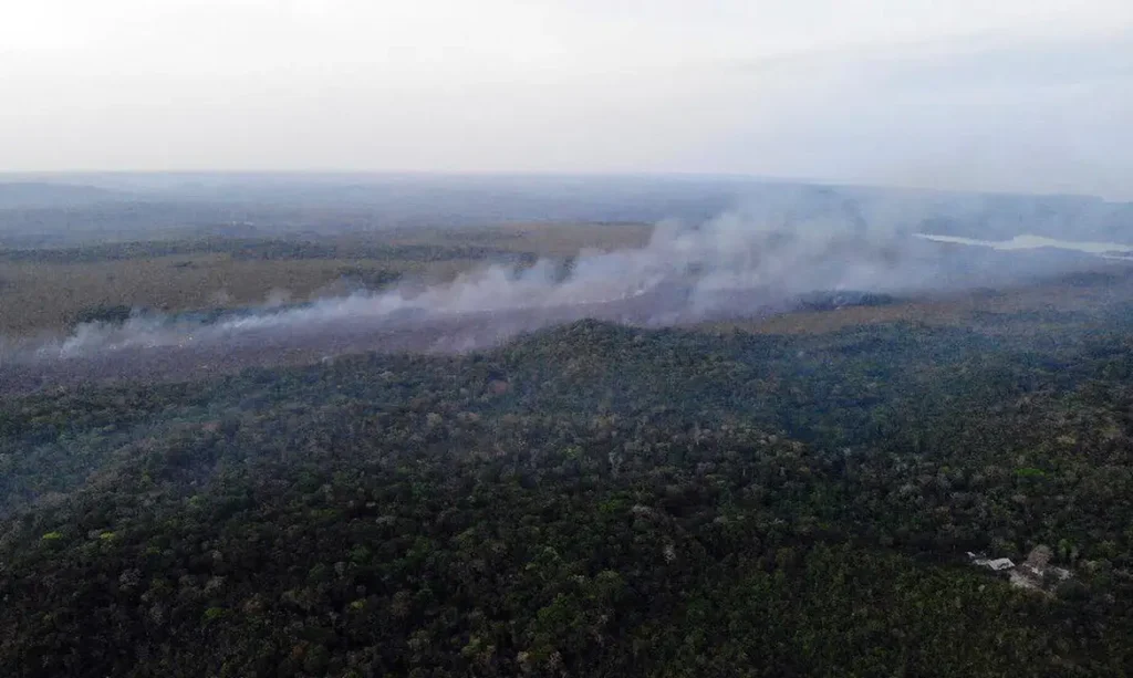 queimada amazonia