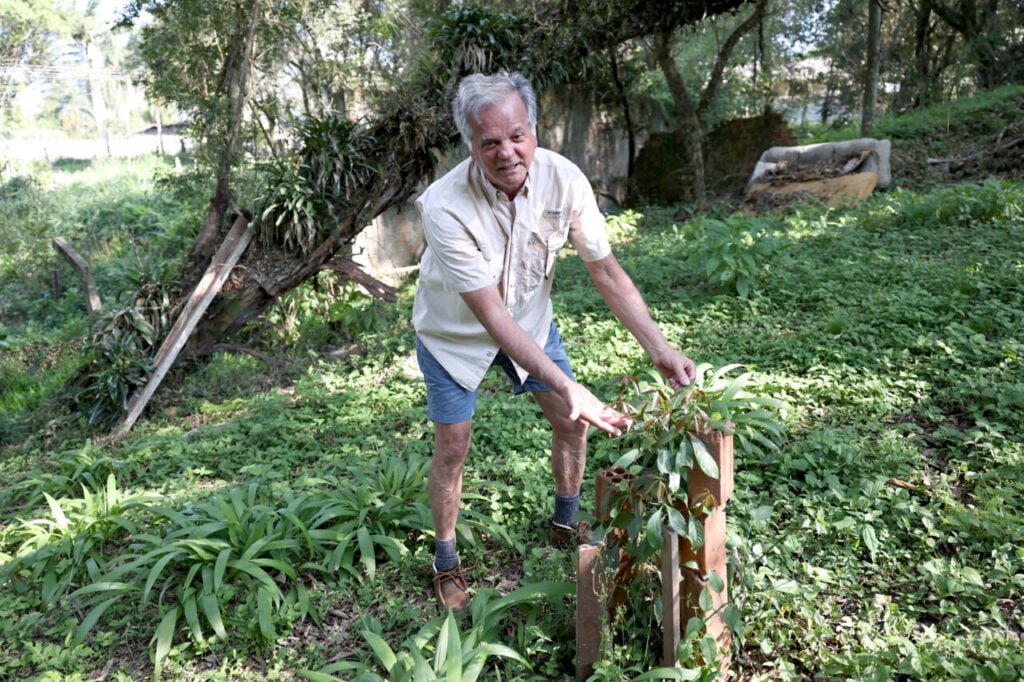 NAPOLEAO CHIAMULERA
ATIVISTA AMBIENTAL