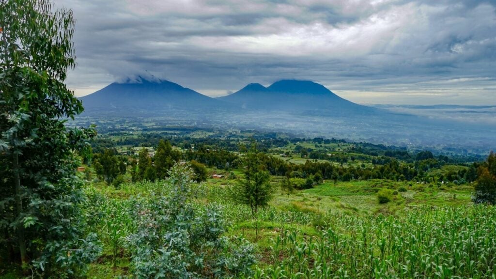 Ruanda-Volcanoes National Park_Easy-Resize.com