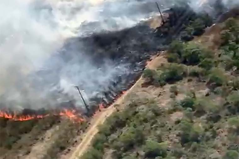 incendio florestal