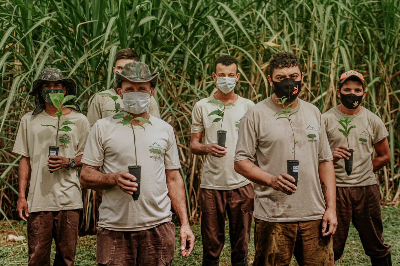 rede de plantadores de arvores