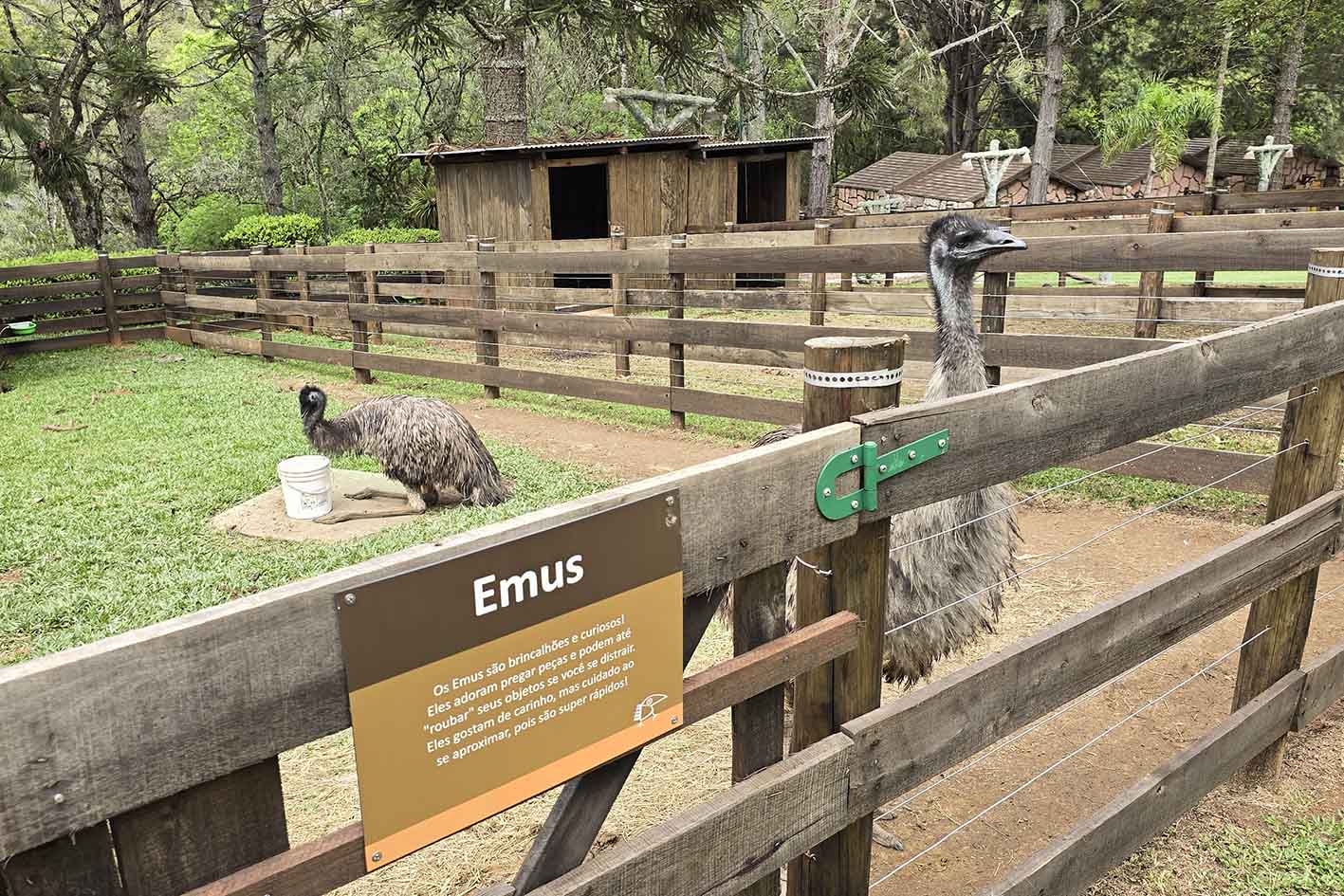 Emus Fazendinha Vila Katu – foto Fabiano Camargo